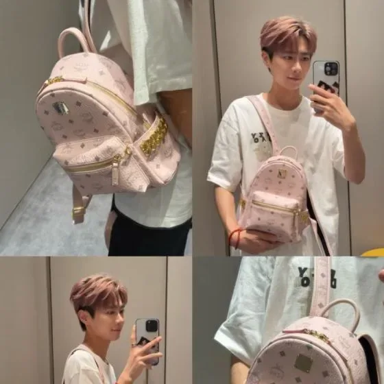 MCM Stark Backpack Pink Backpack