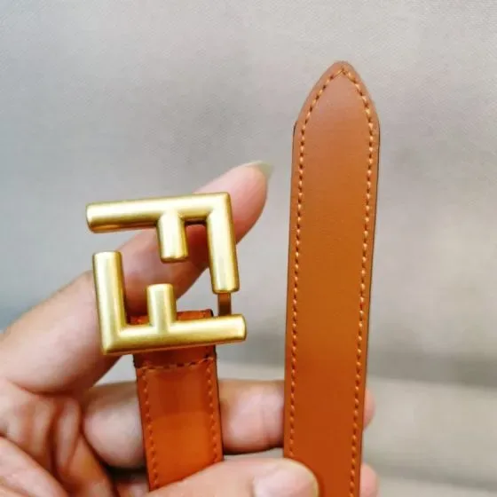 Fendi Ff Belt Brown Belt Bag