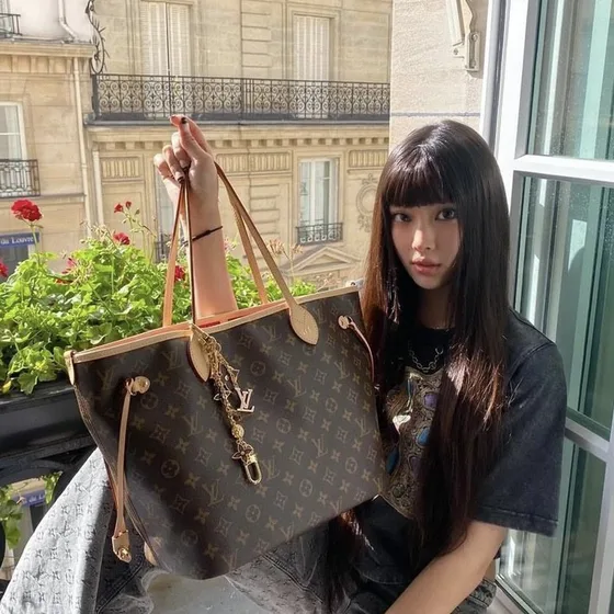 Louis Vuitton Neverfull Brown Tote Bag